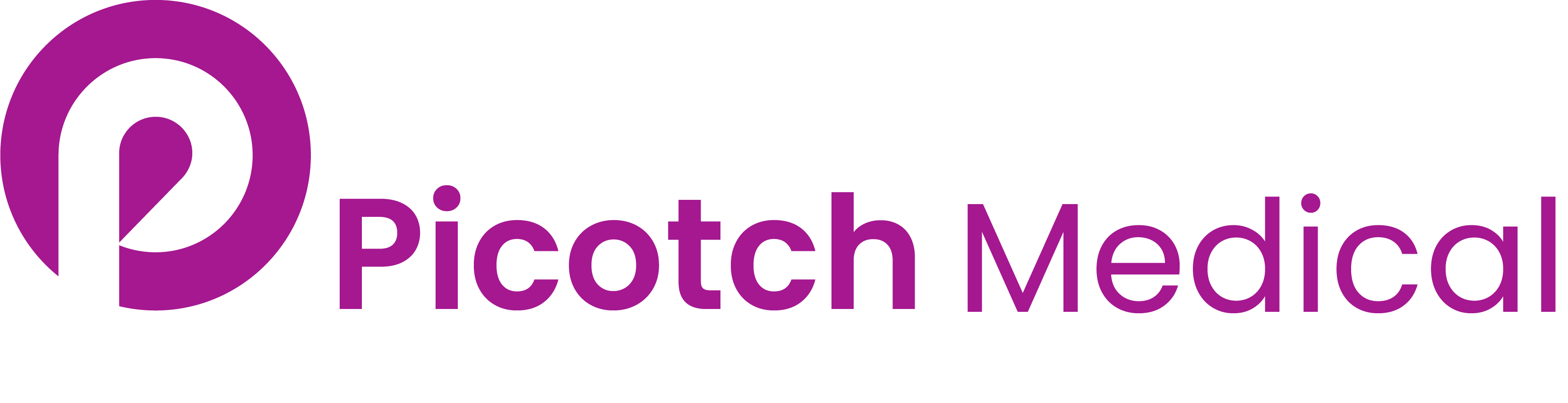PicoTech Logo